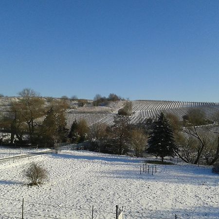 Weingut Hans Bausch Hattenheim Exterior photo