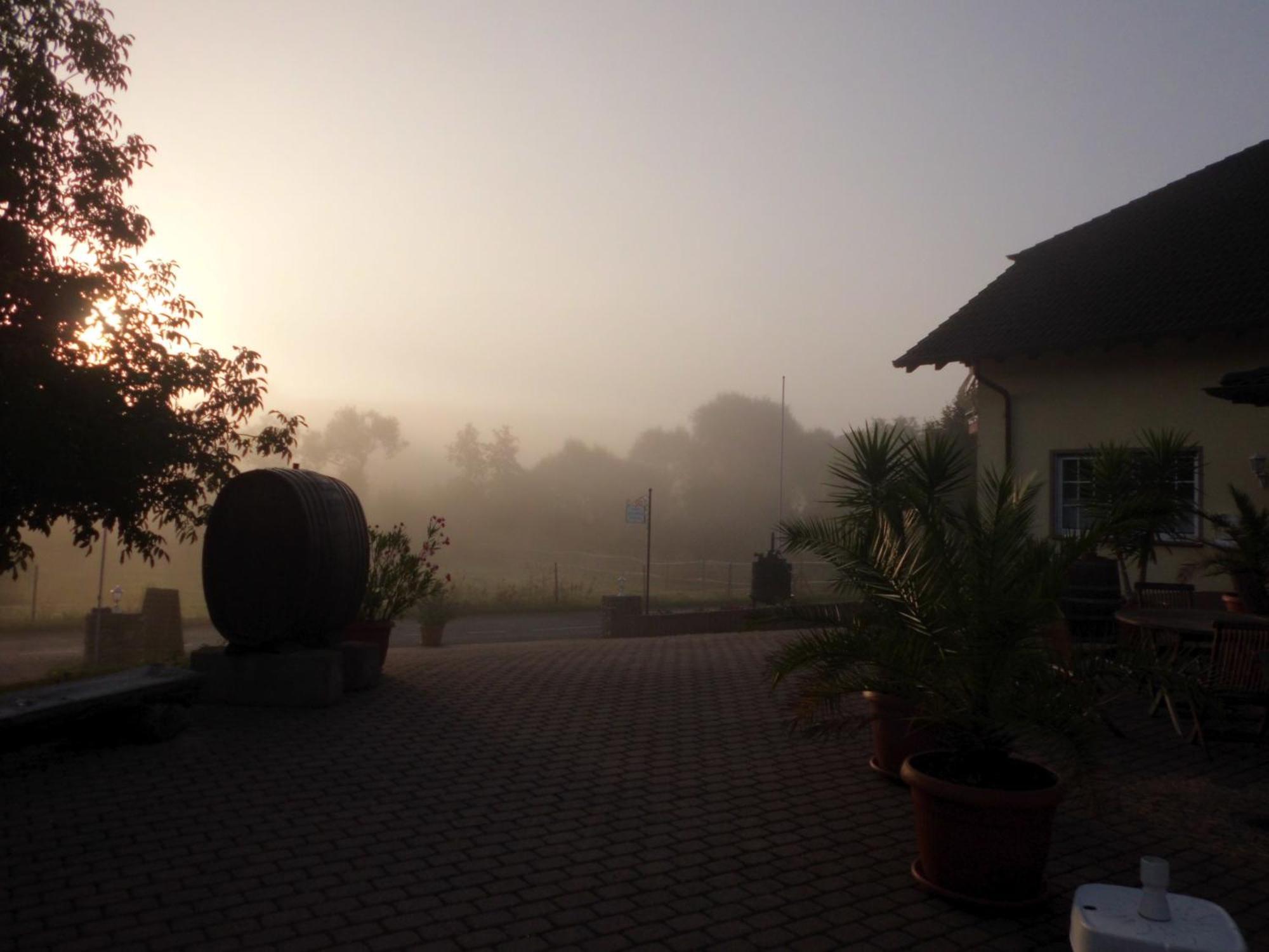 Weingut Hans Bausch Hattenheim Exterior photo