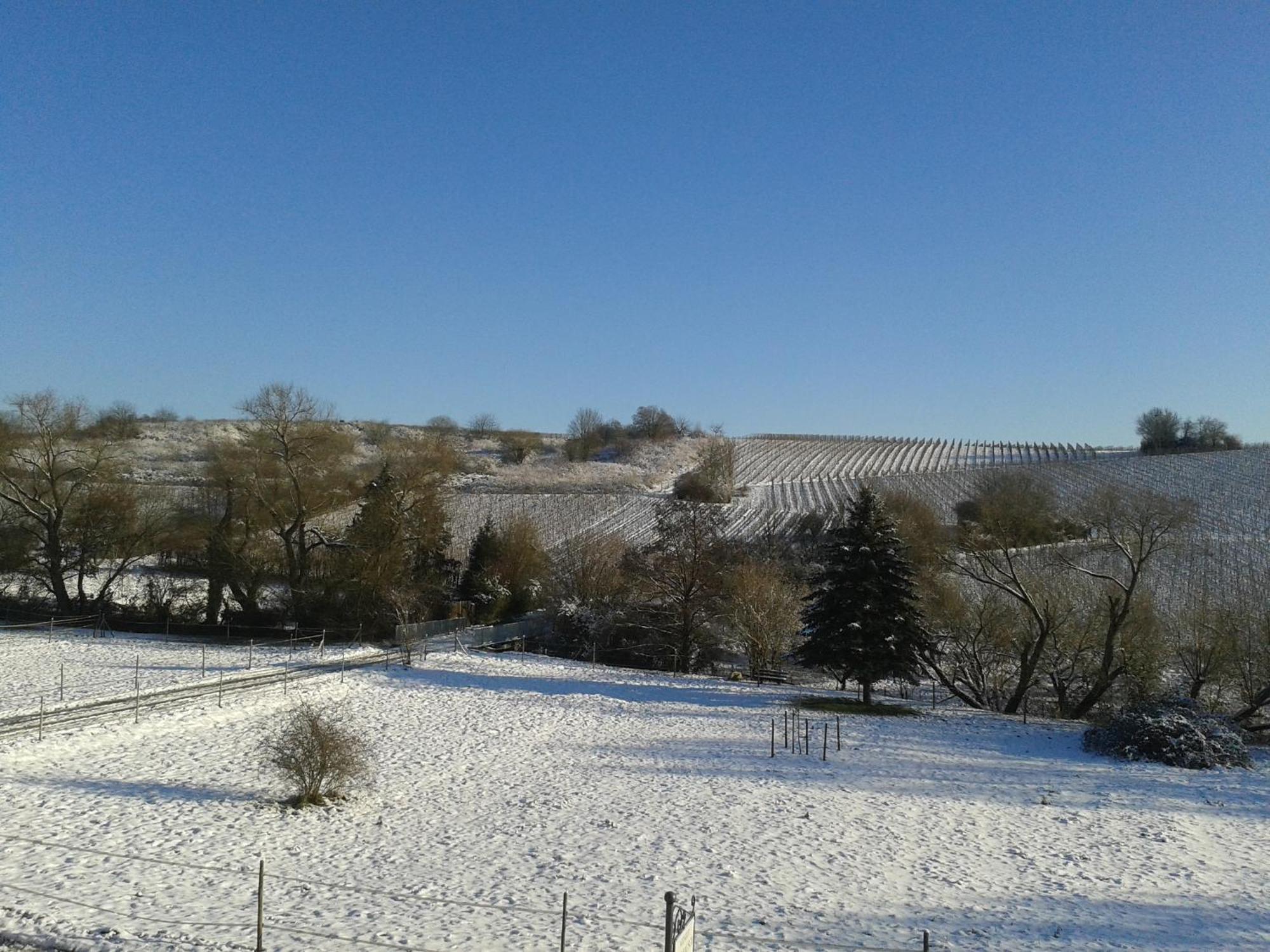 Weingut Hans Bausch Hattenheim Exterior photo